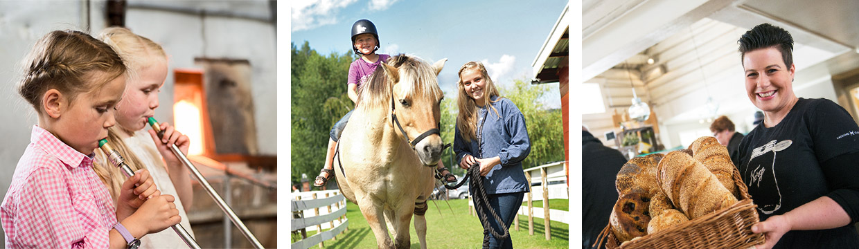 Hadeland Glassverk - For hele familien