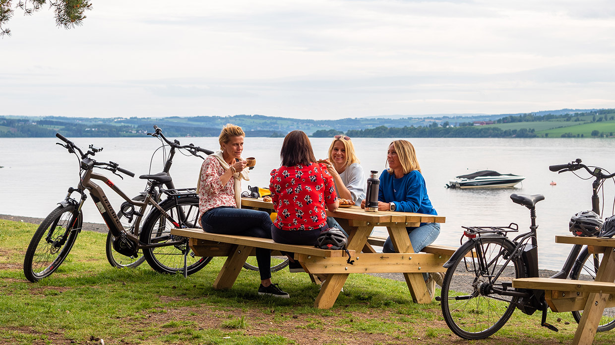 Lunsjpause ved Mjøsa