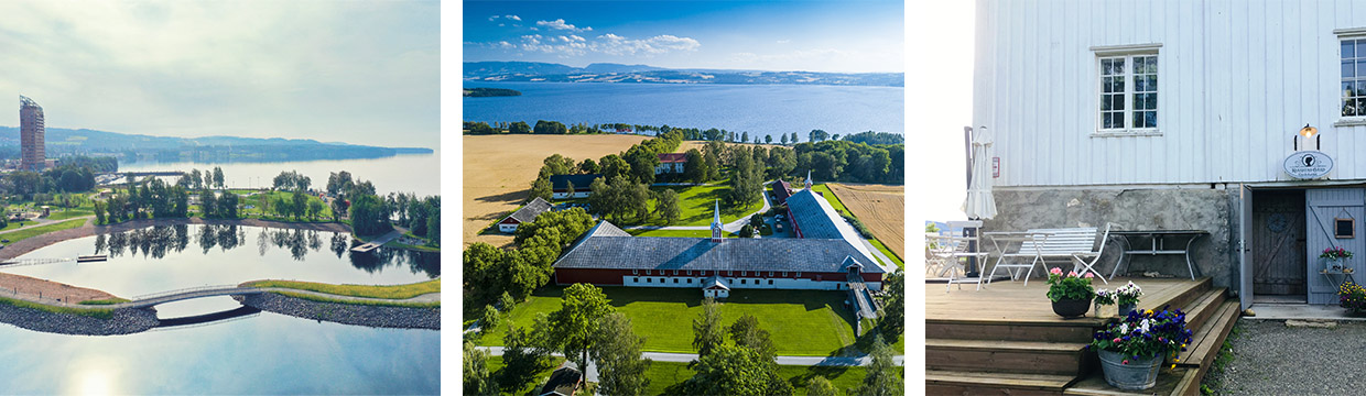 Mjøsparken, Hoel gård og Kvarstad gård