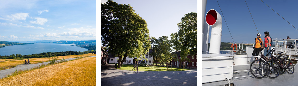 Utsikt over Mjøsa, Gjøvik gård og Skibladner