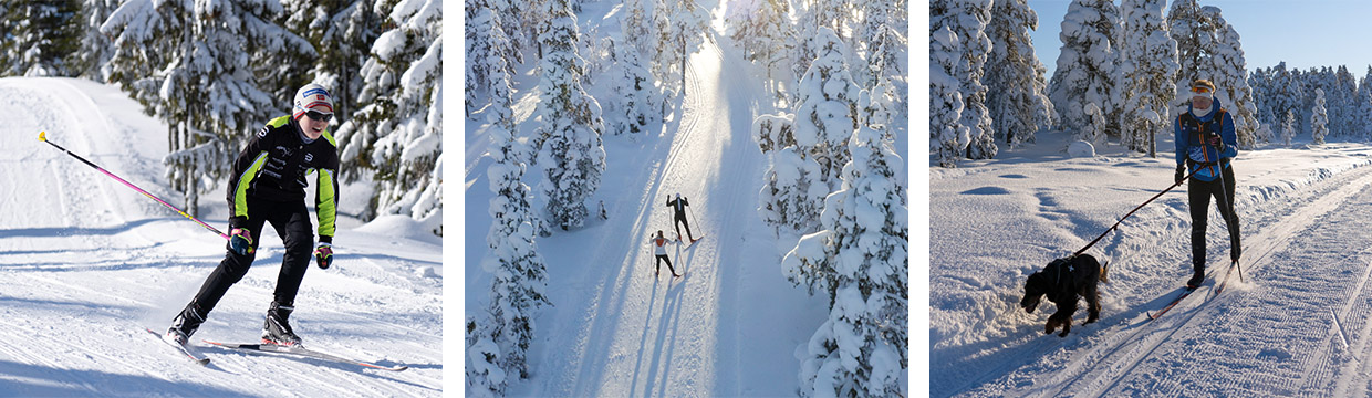 Vinter - Langrenn i Innlandet