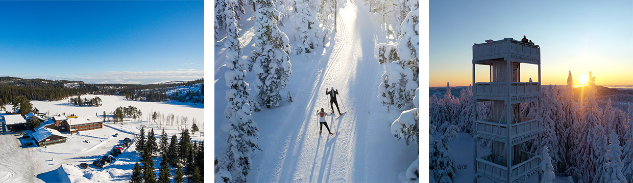 Workation på Lygna