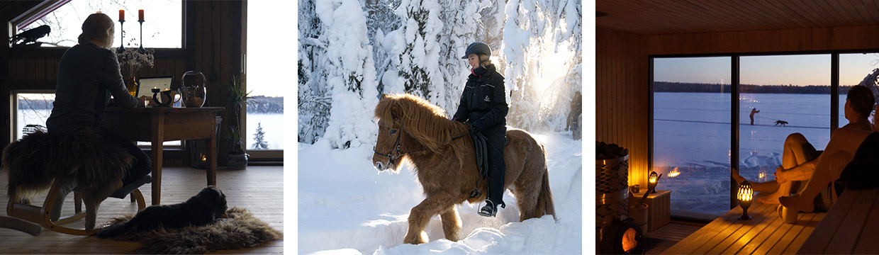 Workation på Mesna - Vinter